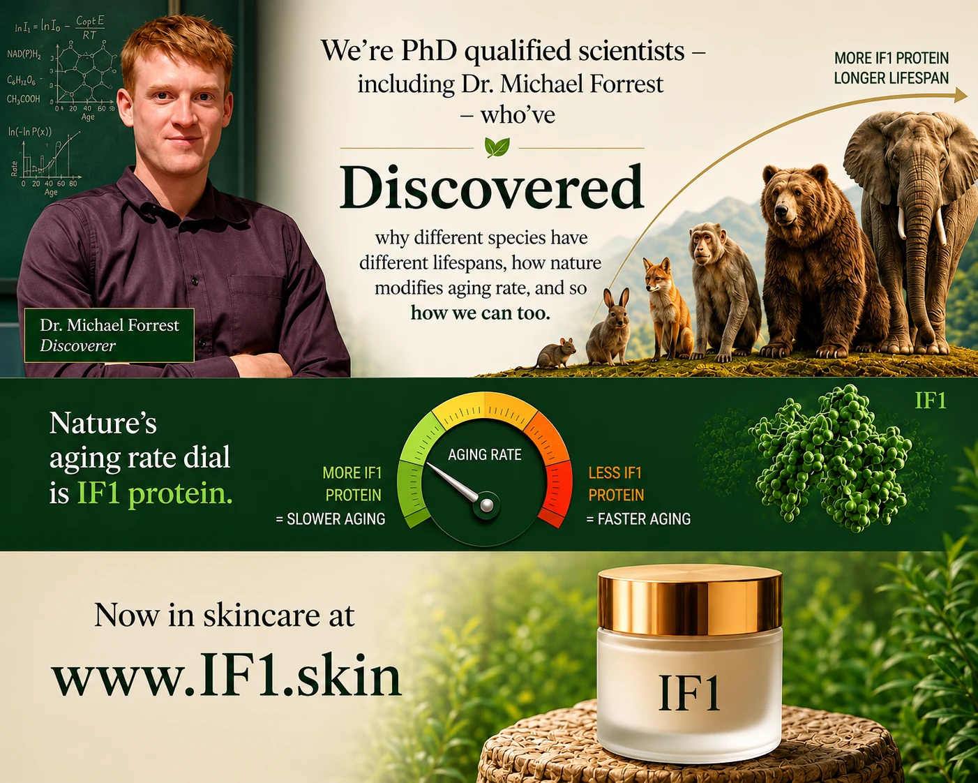 Summary graphic: Ph.D. qualified scientists including Dr. Michael Forrest discovered why different species have different lifespans; nature's aging-rate dial is IF1 protein — more IF1 means slower aging — now in skincare at www.IF1.skin